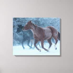 Horse Drive Canvas Print