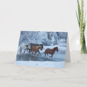 Horse Drive in Winter Card