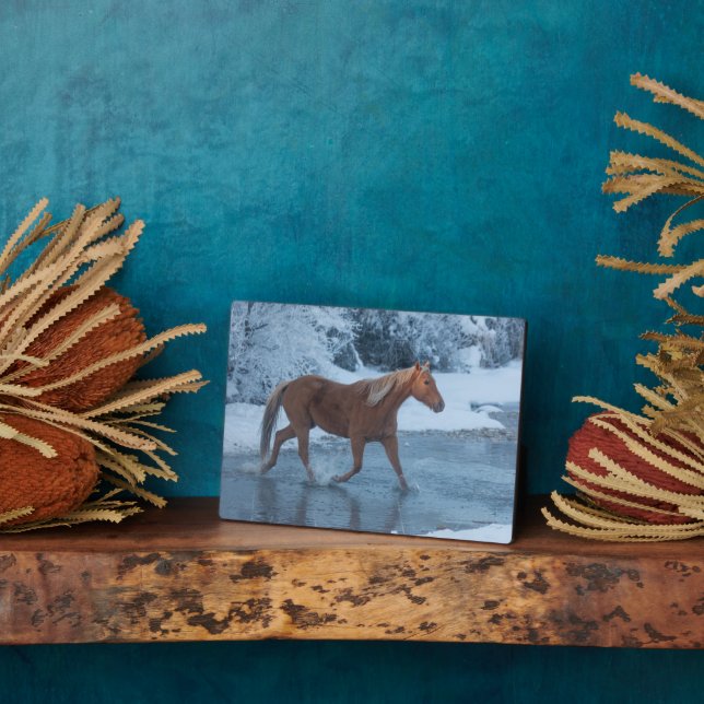 Horse Drive in Winter on Hideout Ranc Plaque (Side)