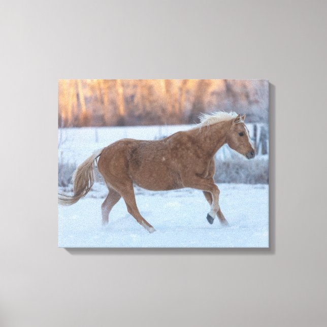 Horse Drive in Winter on Hideout Ranch Canvas Print (Front)
