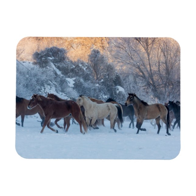 Horse Drive in Winter on Hideout Ranch Magnet (Horizontal)