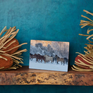 Horse Drive in Winter on Hideout Ranch Plaque