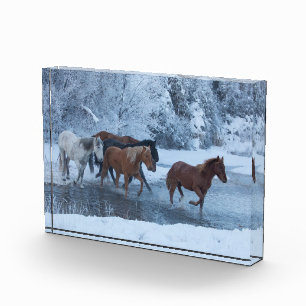 Horse Drive in Winter Photo Block