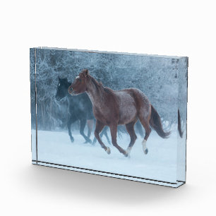 Horse Drive Photo Block