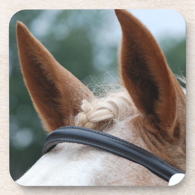 horse ears coaster (Front)