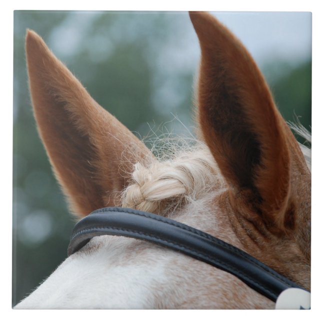 horse ears tile (Front)