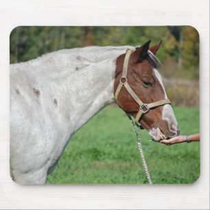 Horse eating alfalfa mouse mat