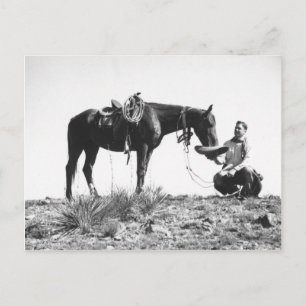 Horse eating from a cowboy's hat. postcard