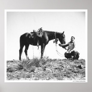 Horse eating from a cowboy's hat. poster
