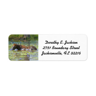 Horse eating in the lake Australia, Return Address