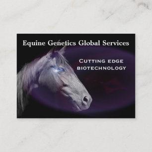 Horse Elegant Professional  3.5" x 2.5" Business Card