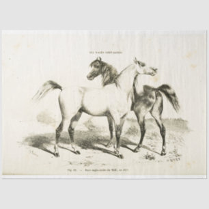 Horse Ephemera Decoupage Vintage French Tissue Pap Paper