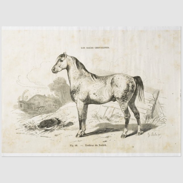 Horse Ephemera Decoupage Vintage French Tissue Paper (Front)