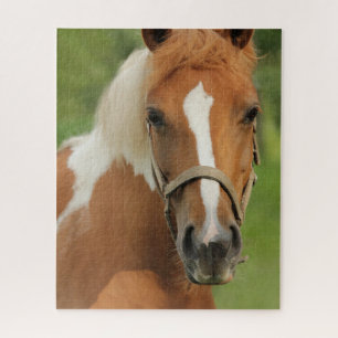 Horse Equestrian Jigsaw Puzzle