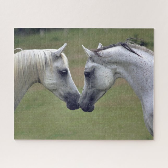 Horse Equestrian  Jigsaw Puzzle (Horizontal)