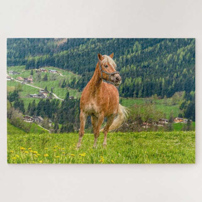 Horse Equestrian  Jigsaw Puzzle (Horizontal)