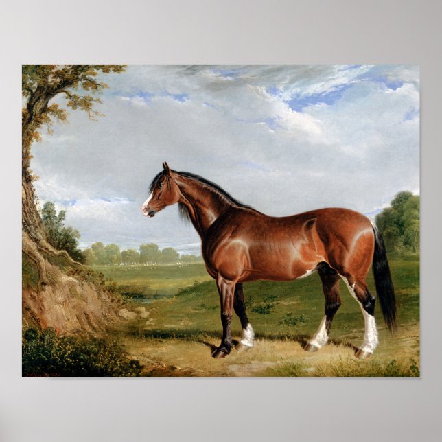 Horse Equestrian Oil Painting Vintage Antique Poster (Front)
