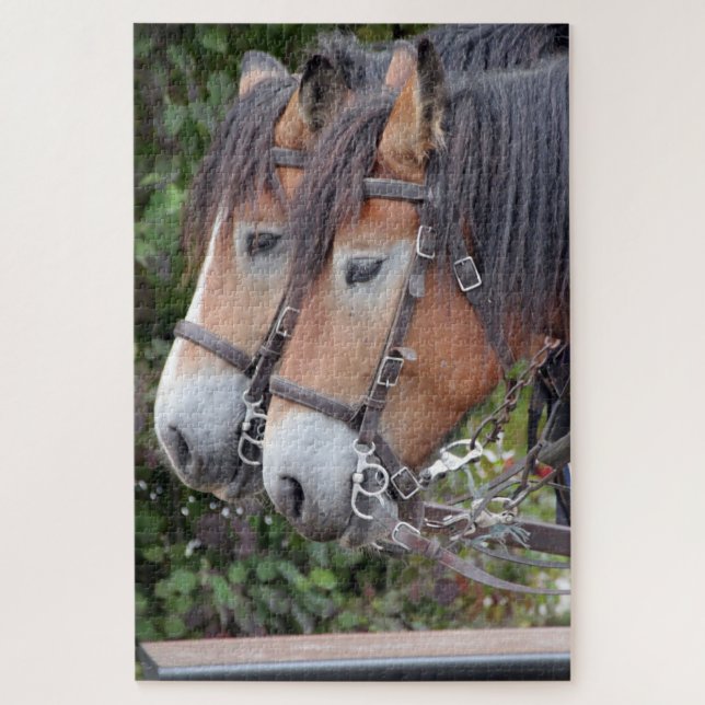 Horse Equestrian Pair of Clydesdales Jigsaw Puzzle (Vertical)