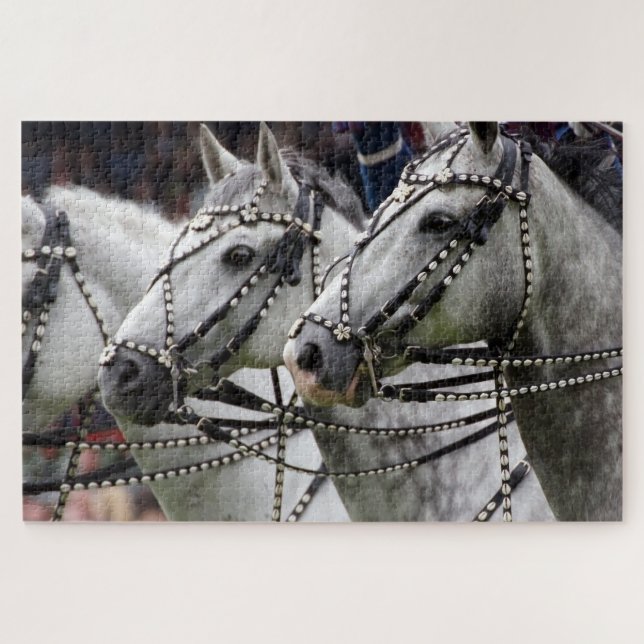 Horse Equestrian Parade Jigsaw Puzzle (Horizontal)