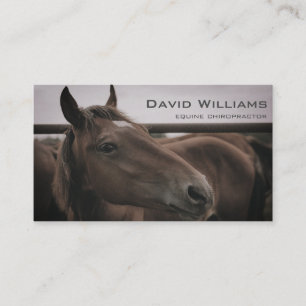 Horse Equine Chiropractor Physiotherapist  Business Card