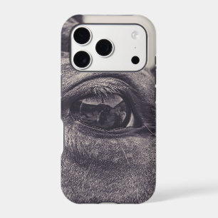 Horse Eye 001