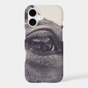 Horse Eye 001