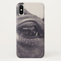 Horse Eye 001