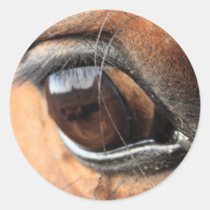 Horse Eye Classic Round Sticker