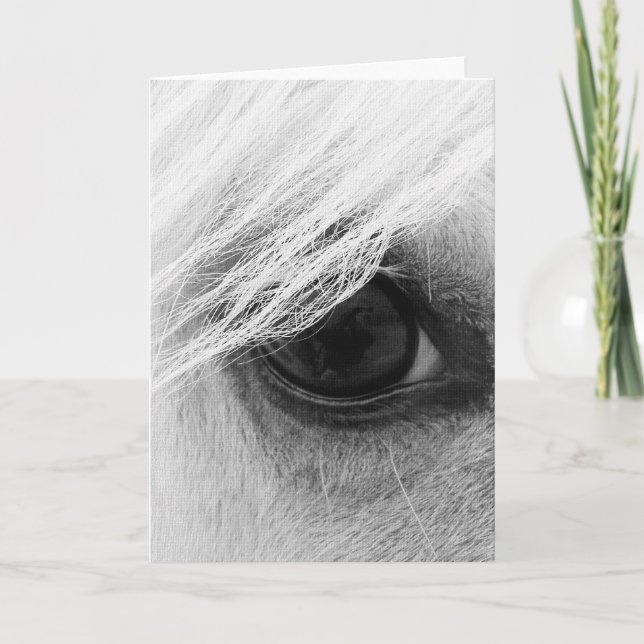 Horse Eye in Black and White Card (Front)