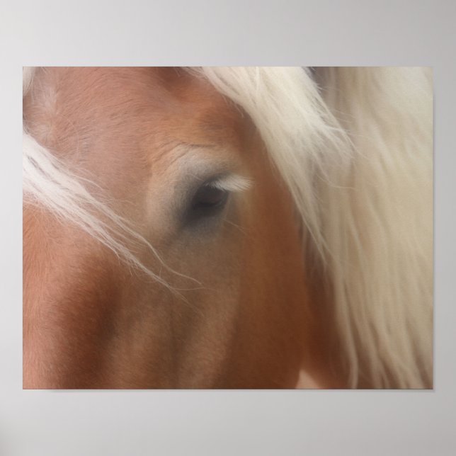 Horse Eye Wisdom Poster (Front)