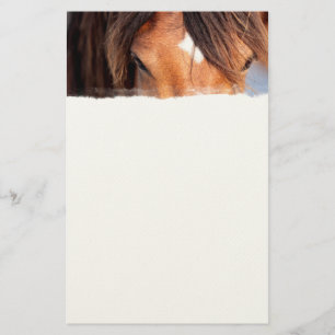 Horse Eyes Stationery