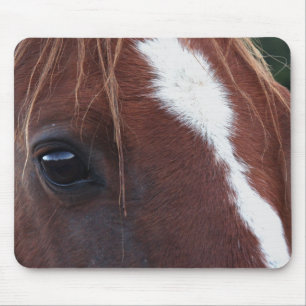 Horse Face Closeup Mouse Mat