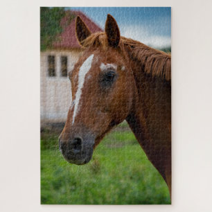 Horse face jigsaw puzzle