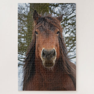 Horse face jigsaw puzzle