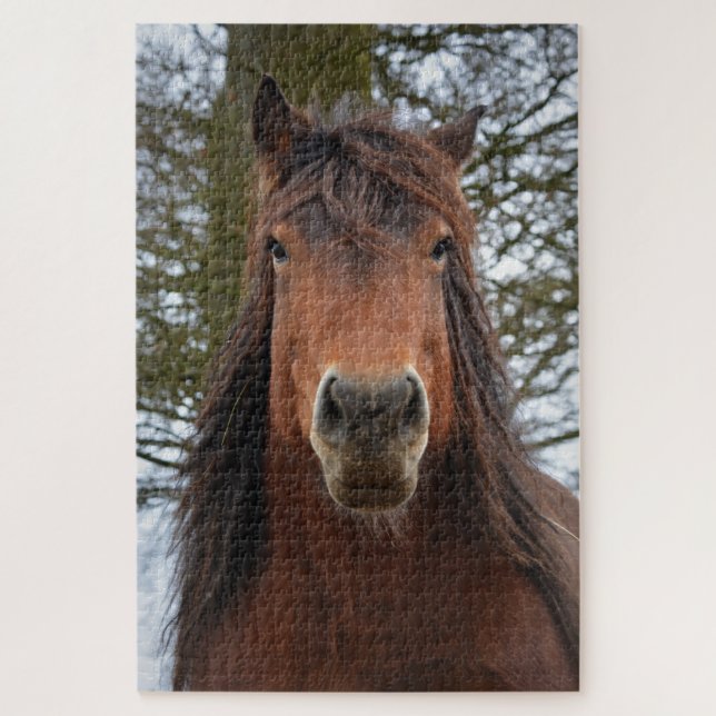 Horse face jigsaw puzzle (Vertical)
