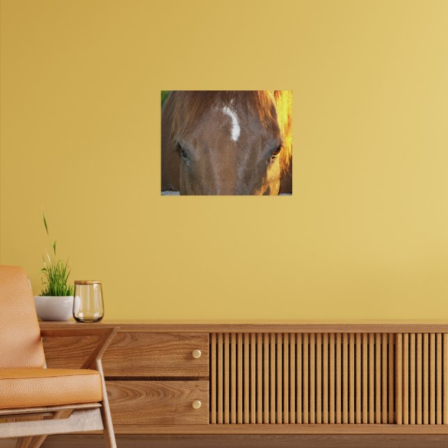 Horse Face  Marking Photographic Poster (Living Room 2)