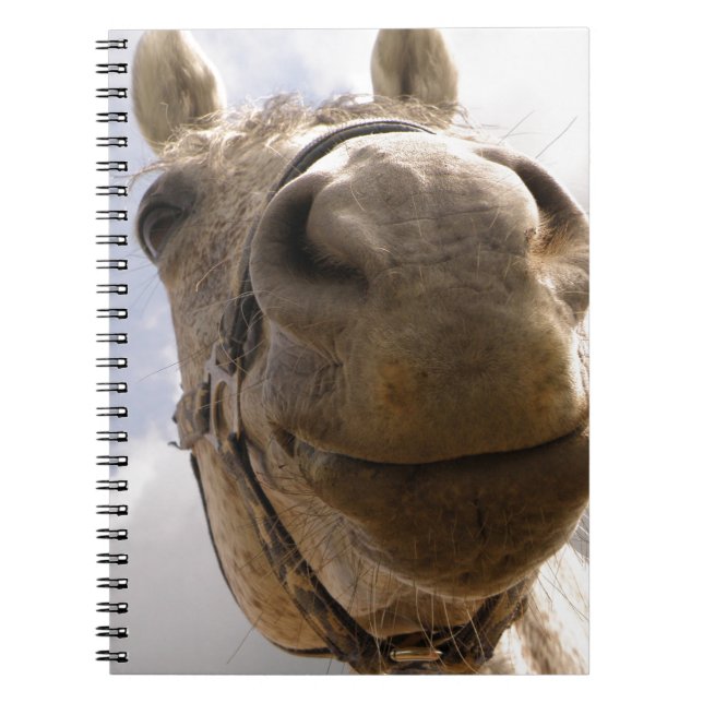 Horse face notebook (Front)