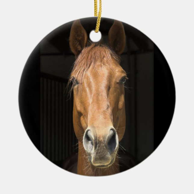 Horse Face Photograph Ceramic Tree Decoration (Front)