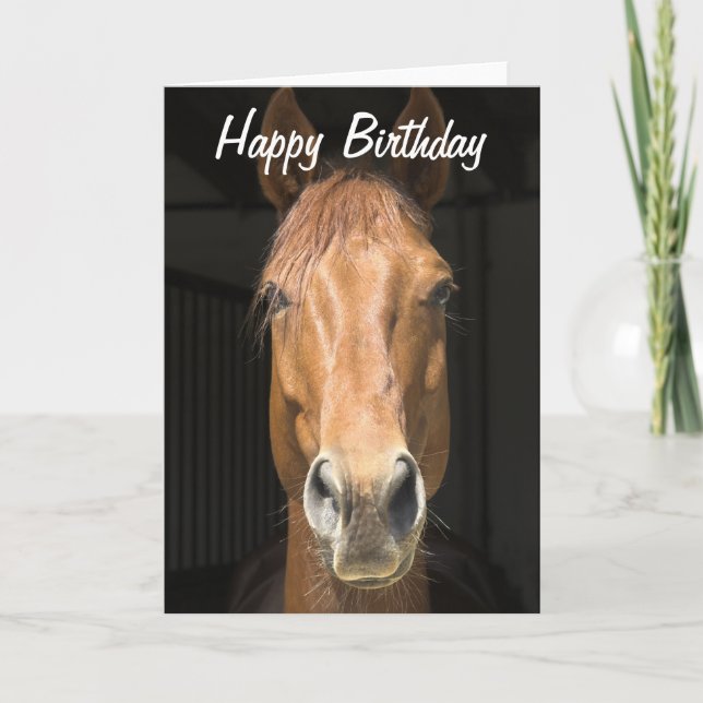 Horse Face Photograph Happy Birthday Card (Front)