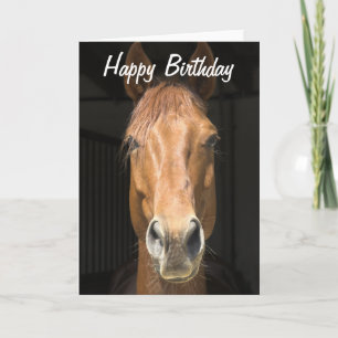 Horse Face Photograph Happy Birthday Card