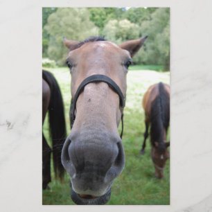 Horse face stationery