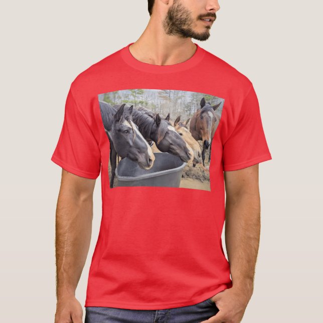 Horse Family family T-Shirt (Front)