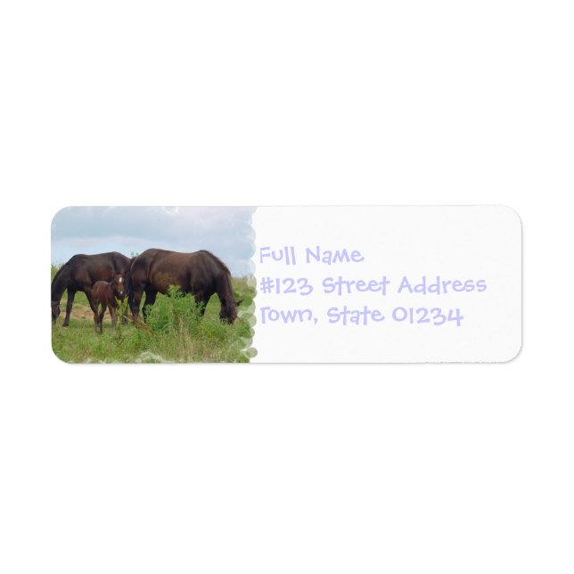 Horse Family Grazing Mailing Label (Front)