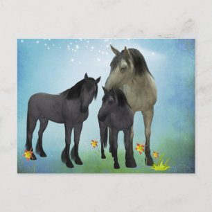 HORSE FAMILY POSTCARD