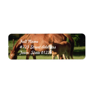 Horse Family Return Address Mailing Labels