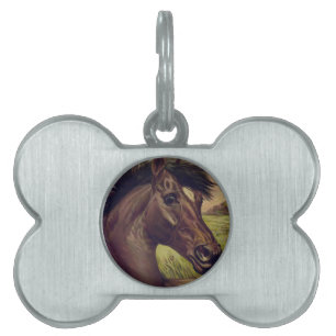 horse farm ranch ride sports western equine pet ID tag