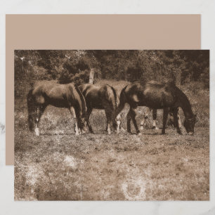 Horse Farm Vintage Country Rustic Sepia Western