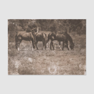 Horse Farm Vintage Country Rustic Sepia Western Tissue Paper