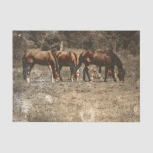 Horse Farm Vintage Country Rustic Western Tissue Paper