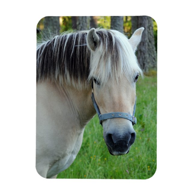 Horse Flexible magnet (Vertical)